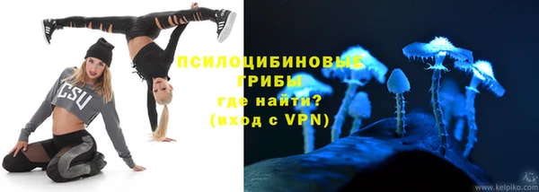 дурь Липки