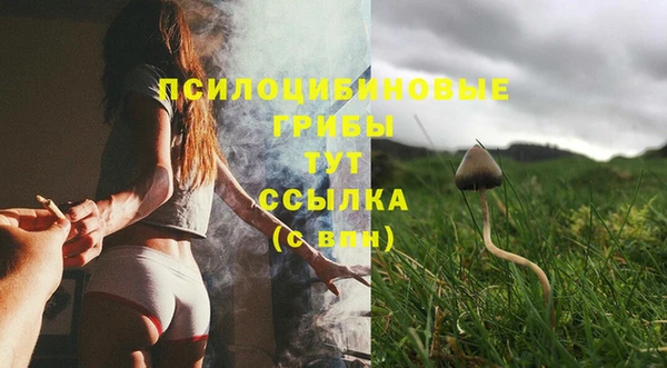 дурь Липки