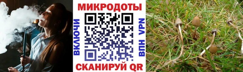 купить   Петров Вал  Галлюциногенные грибы GOLDEN TEACHER 